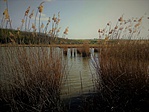 IMG_20190425_163524