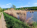 IMG_20190425_163709