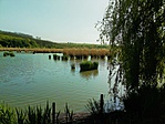 IMG_20190425_164307