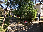 825D21DF-BD17-4BA3-BB59-487FE3BA10A0