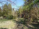 Ösvény