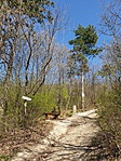 2019-03-31 13.39.52R