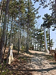 2019-03-31 13.42.45R