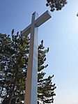 2019-03-31 13.43.08R
