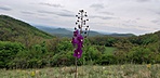 20190427_151415