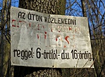 -4