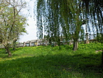 Park-részlet