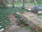 DSC04252