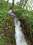 DSC04374