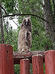 20190427_101021