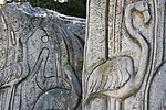 _DSC7734