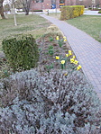IMG_7590