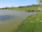 IMG_7870