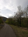 IMG_20190414_083516