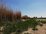 IMG_20190422_125406
