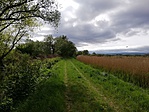 IMG_20190430_162645