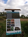 IMG_20190430_163749