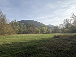IMG_0366