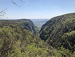 IMG_0513