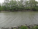 IMG_20190428_144556