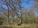 DSC03095