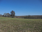 DSC03100