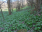 DSC03209