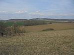 DSC03461