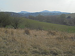 DSC03464