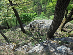 DSC03753