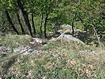 DSC03769