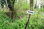 gcort-DSC01231