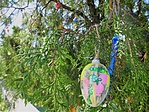 gcjaro-DSC01570