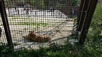 20190421_103541