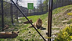 20190421_103813