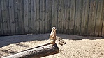 20190421_104917