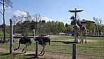 20190421_113649