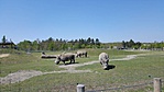 20190421_120245