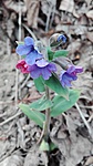IMG_20190406_132408