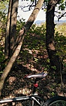 IMG_20190420_142343