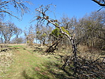 DSC03233