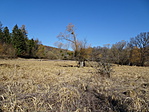 DSC03235