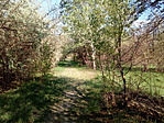 IMG_20190419_165406