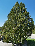 IMG_20190420_125322