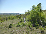 P1600523