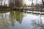 IMG_5409