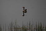 IMG_5437