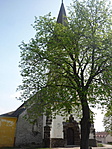 P1190199