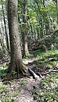 IMG_20190420_140135