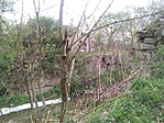 IMG_20190412_171117
